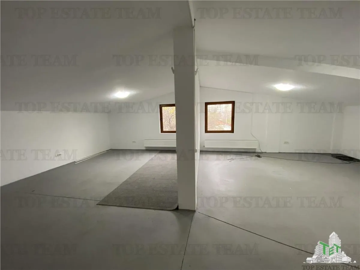 Spatiu comercial, birouri, depozitare de inchiriat in Doamna Ghica - foto 11