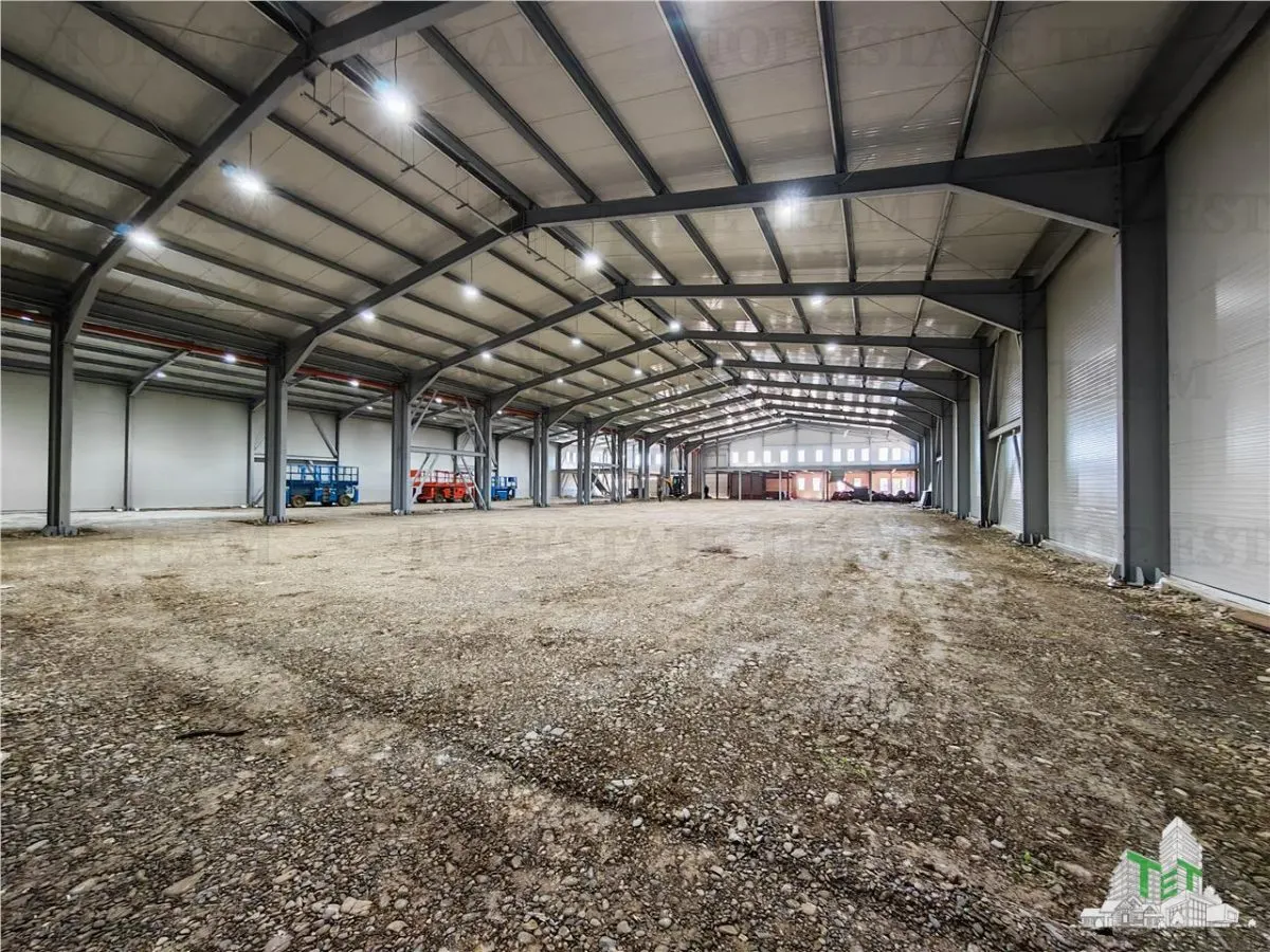 Hala Industriala Balotesti - Spatiu Generos si Accesibilitate Excelenta - foto 4