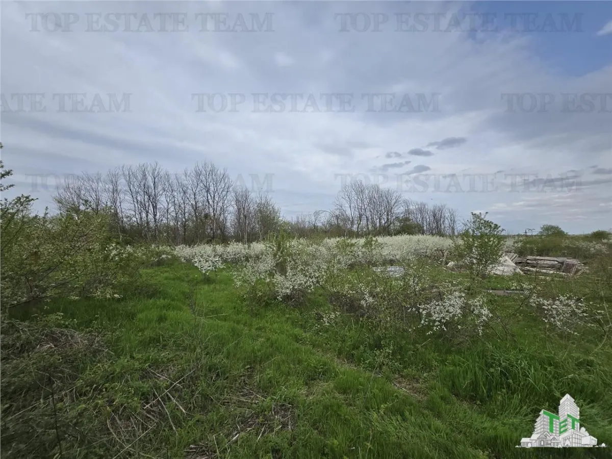 TEREN INTRAVILAN la 20 minute de Bucuresti - foto 6