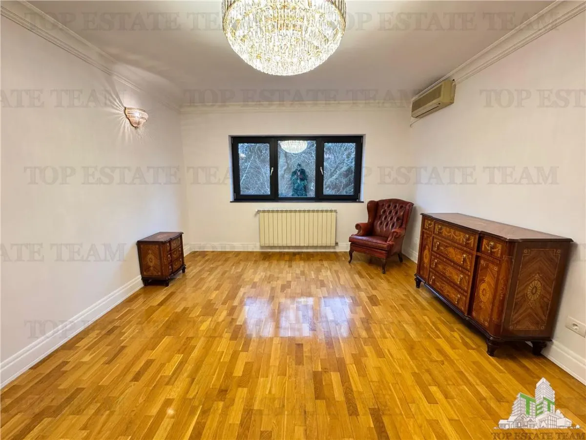 Vila pretabila rezidenta/office Iancu Nicolae - foto 9