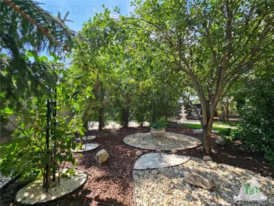 Vila superba, cu piscina, 970mp teren, D+P+E+M, gradina amenajata+pomi fructiferi cu toate utilitatile in Clinceni judet Ilfov - foto 12
