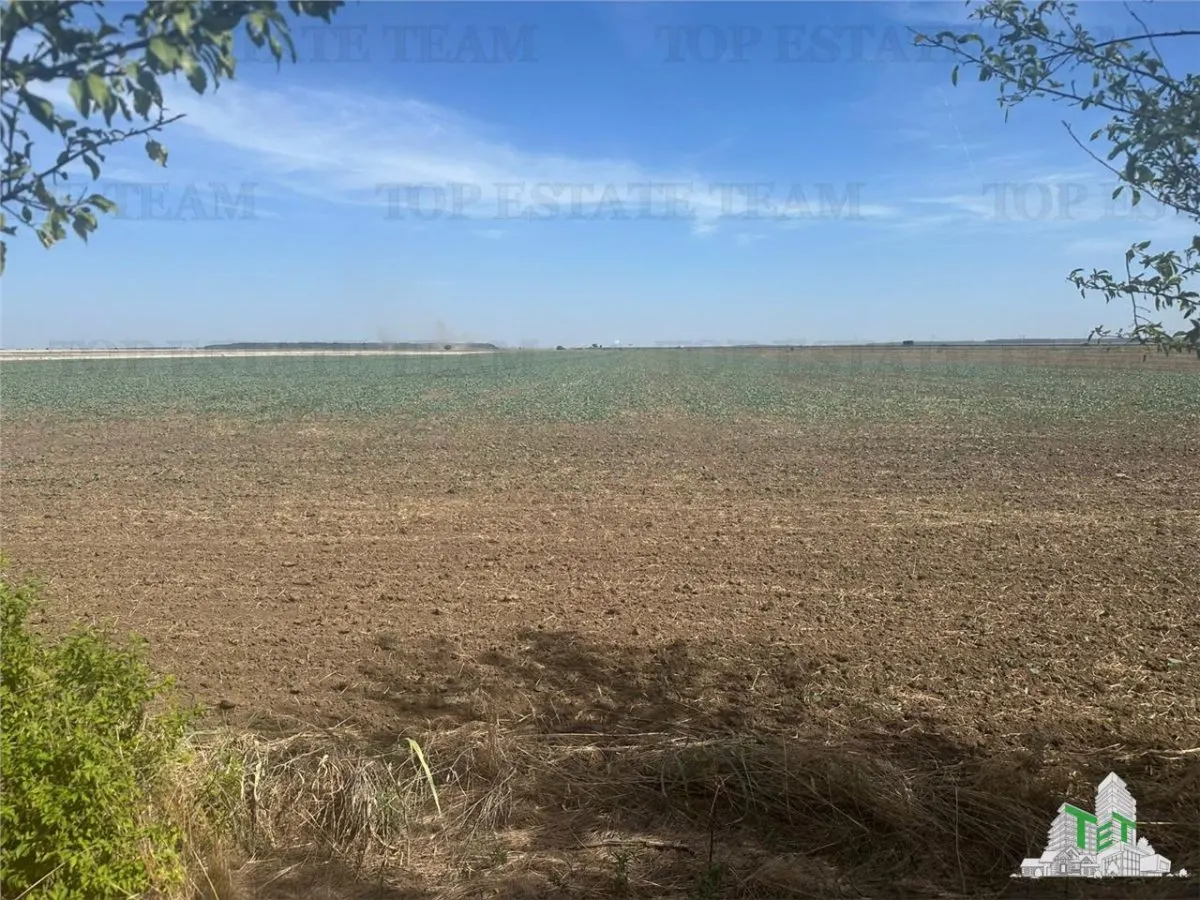 Vanzare teren intravilan construibil, in Branesti-Ilfov, 1330 mp, ideal rezidenta sau investitie - foto 1