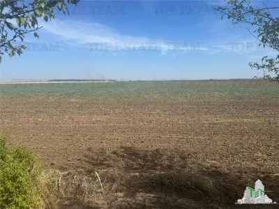 Vanzare teren intravilan construibil, Branesti-Ilfov, 5000 mp, ideal rezidenta sau investitie - foto 1