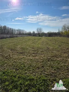 Teren intravilan, 3751mp oportunitate de investitie, cu utilitati, comuna Daia, judetul Giurgiu - foto 1