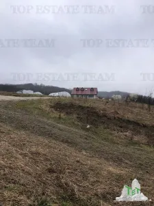 Casa de vanzare in Stanomiru  Judetul Valcea cu un teren in suprafata de 320000 mp - foto 1