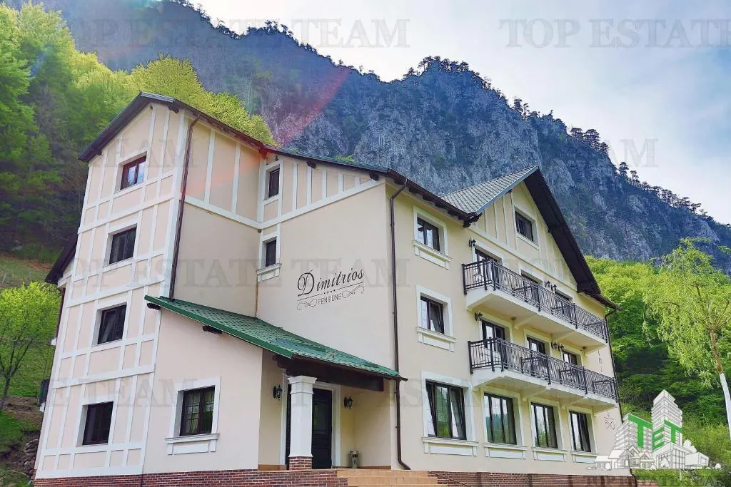 Pensiune 4* in Baile Herculane, investitie turism - foto 3