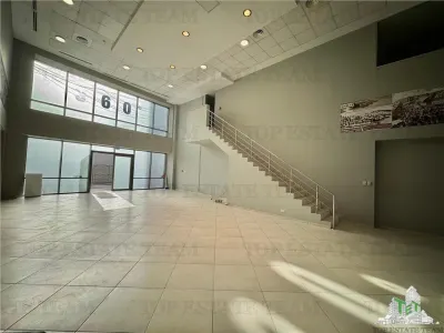 Spatiu comercial stradal + gradina de inchiriat in zona Grozavesti / Sector 6 - foto 4