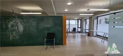 Birou/Apartament 4 camere cu gradina, zona Cismigiu - foto 6
