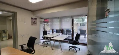 Birou/Apartament 4 camere cu gradina, zona Cismigiu - foto 7