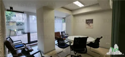 Birou/Apartament 4 camere cu gradina, zona Cismigiu - foto 8