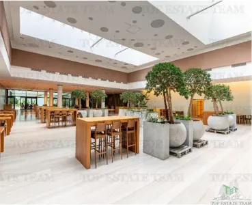 Spatiu de Birouri de 405 mp la Parter Zona Baneasa - foto 2