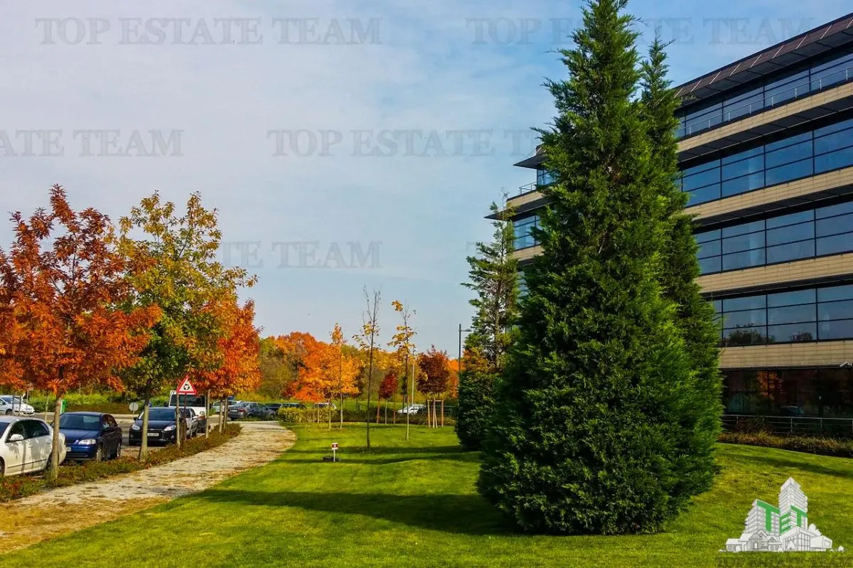 Spatiu de Birouri de 480 mp in Zona Baneasa - foto 10