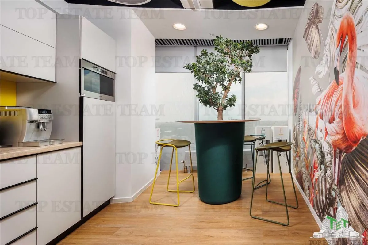 Spatiu de Birouri de 585 mp in Zona Floreasca - foto 3