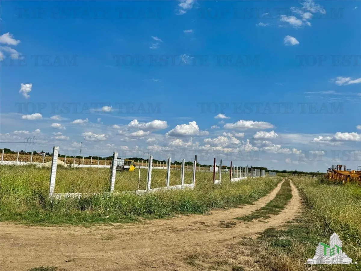 Oferta speciala / Teren de vanzare in Frumusani - foto 5