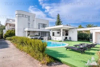 Vila cu Piscina Termala, Pasarea, Branesti - Branesti