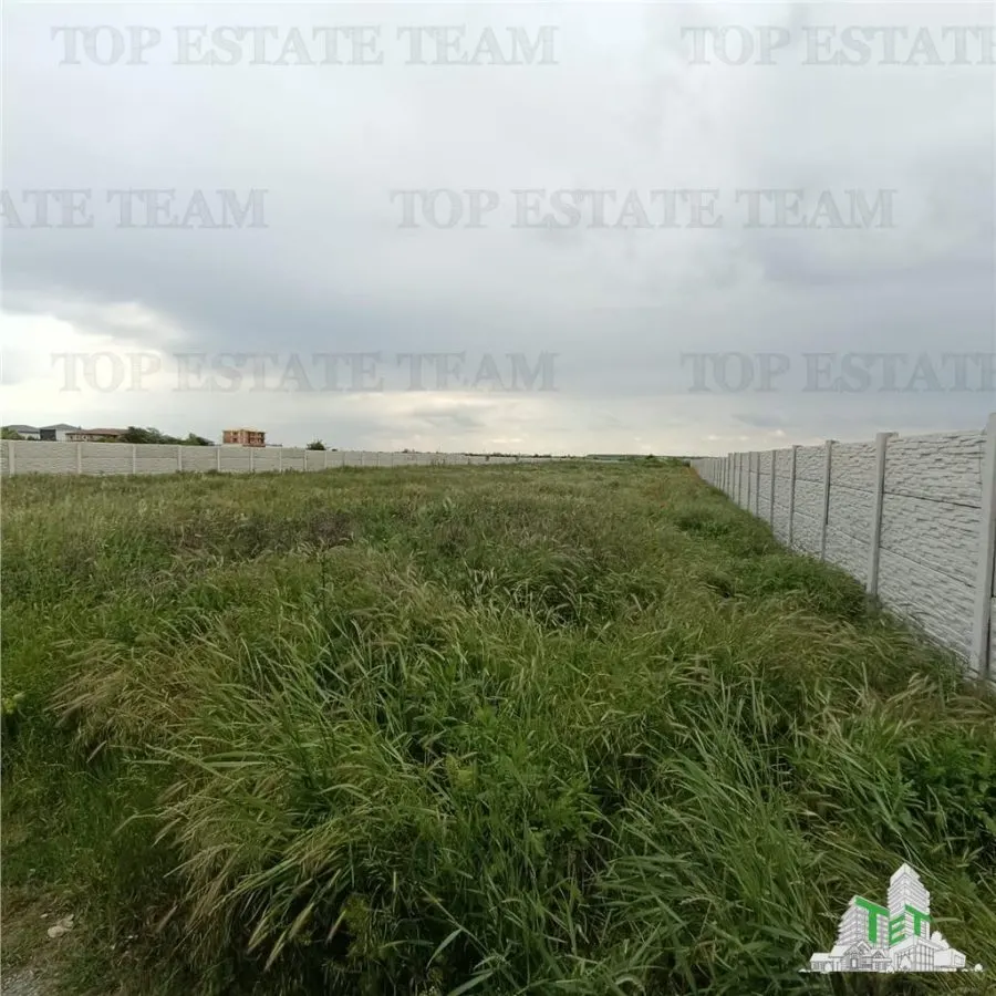 Teren intravilan 5280 mp de vanzare cu deschidere in 2 strazi / Bragadiru - foto 5