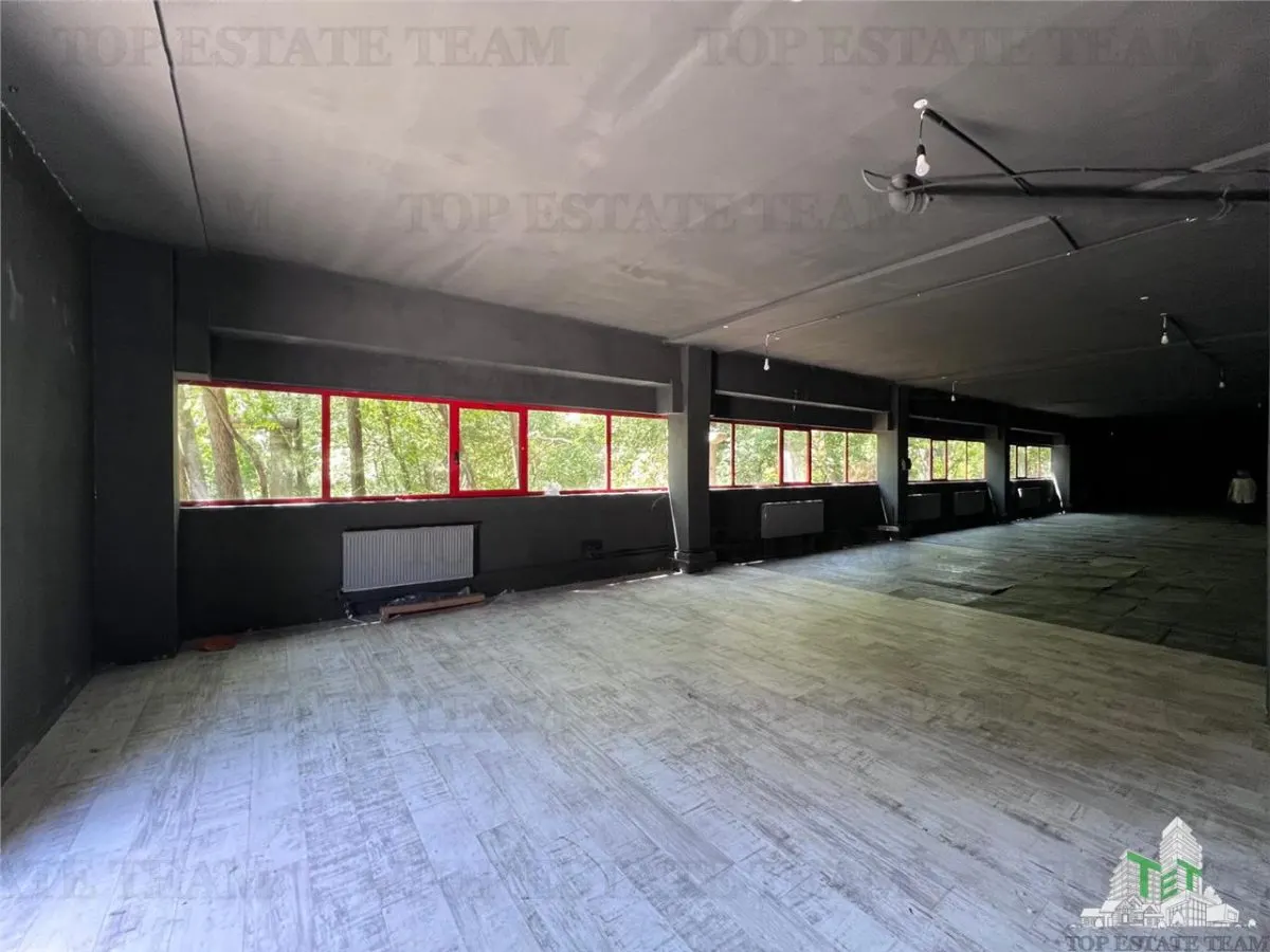 De inchiriat spatii comerciale, hale si birouri - foto 2