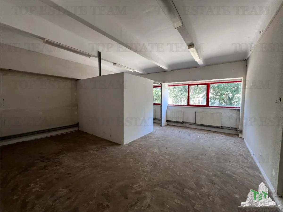 De inchiriat spatii comerciale, hale si birouri - foto 16