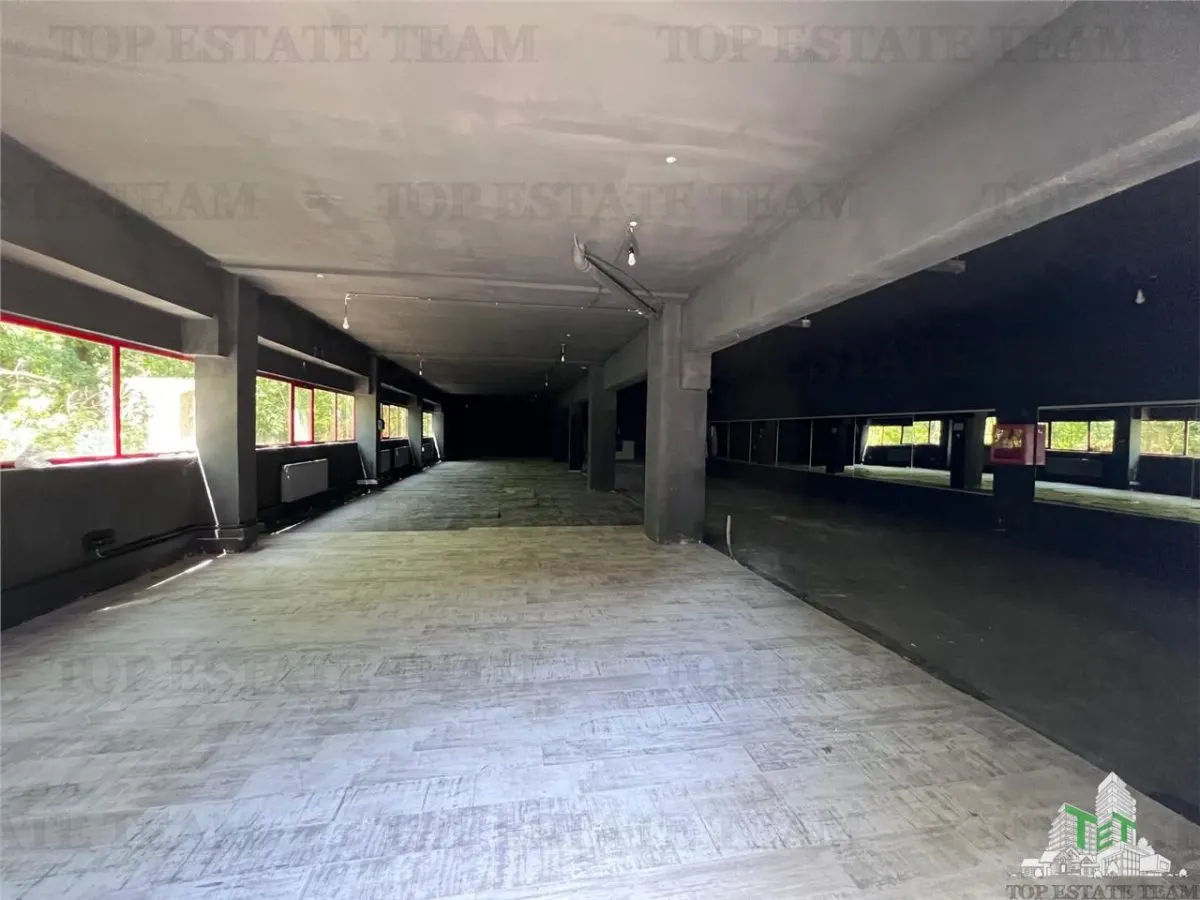 De inchiriat spatii comerciale, hale si birouri - foto 3