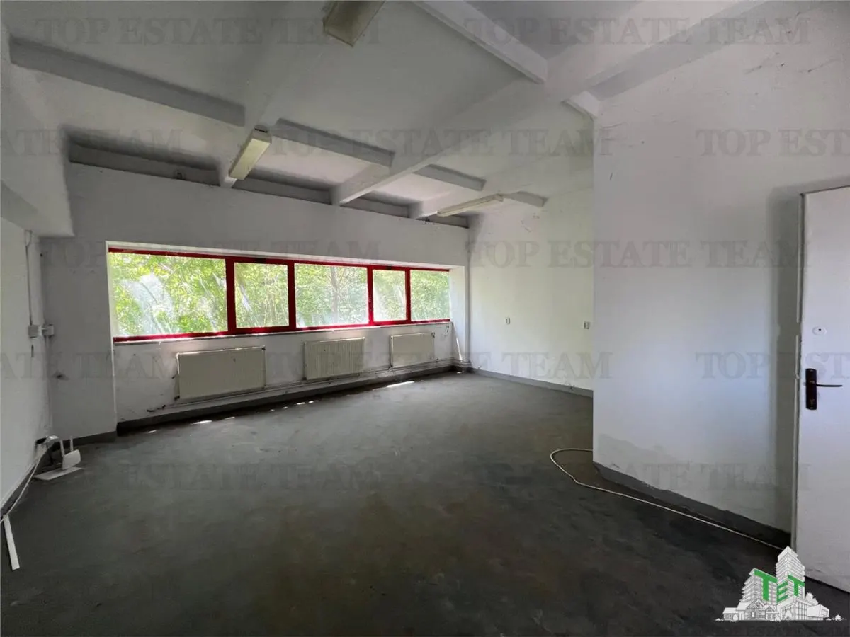 De inchiriat spatii comerciale, hale si birouri - foto 8