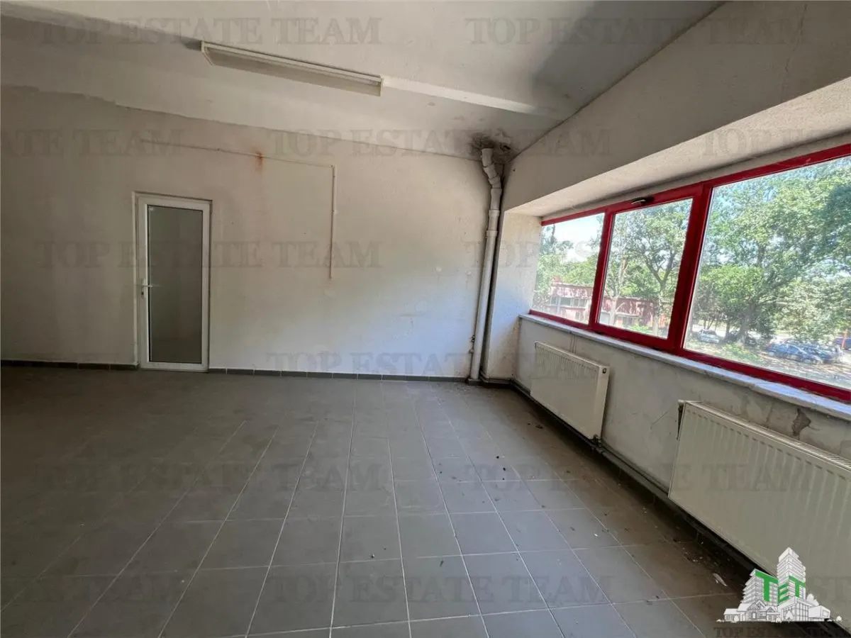 De inchiriat spatii comerciale, hale si birouri - foto 10