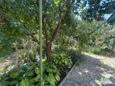 Vanzare teren cu casa Damaroaia - foto 12