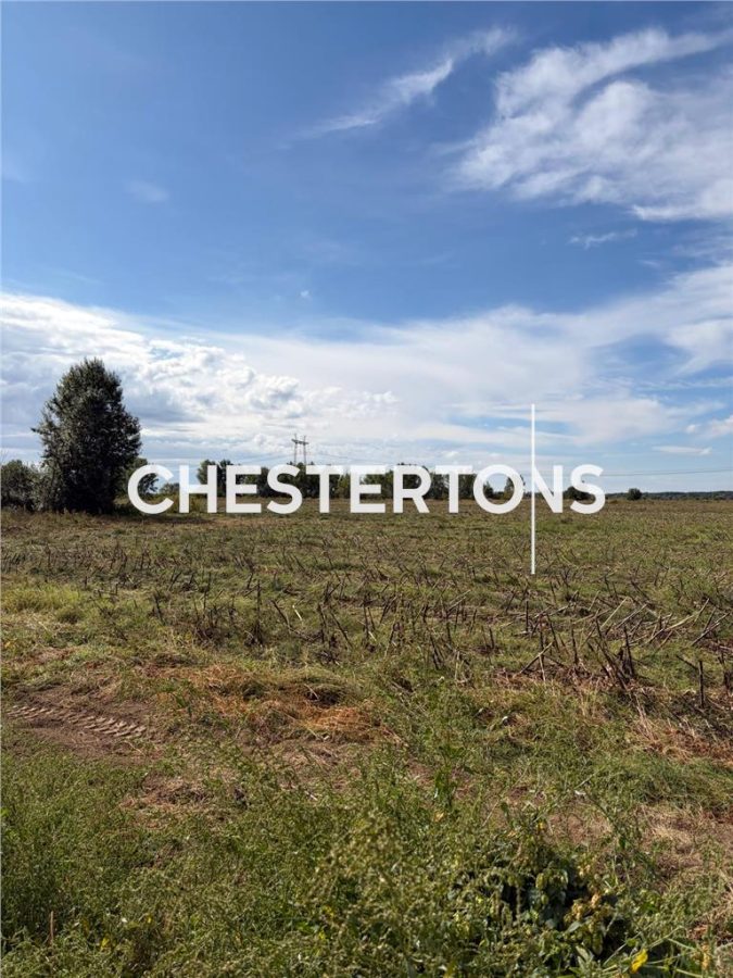 Land for sale 295413 sqm in Floresti-Stoenesti - foto 11