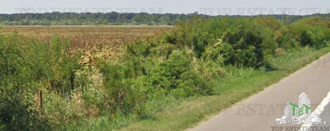 Land for sale 295413 sqm in Floresti-Stoenesti - foto 12