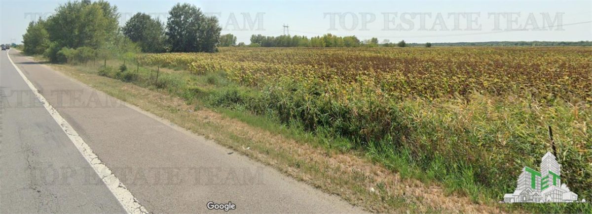 Land for sale 295413 sqm in Floresti-Stoenesti - foto 13