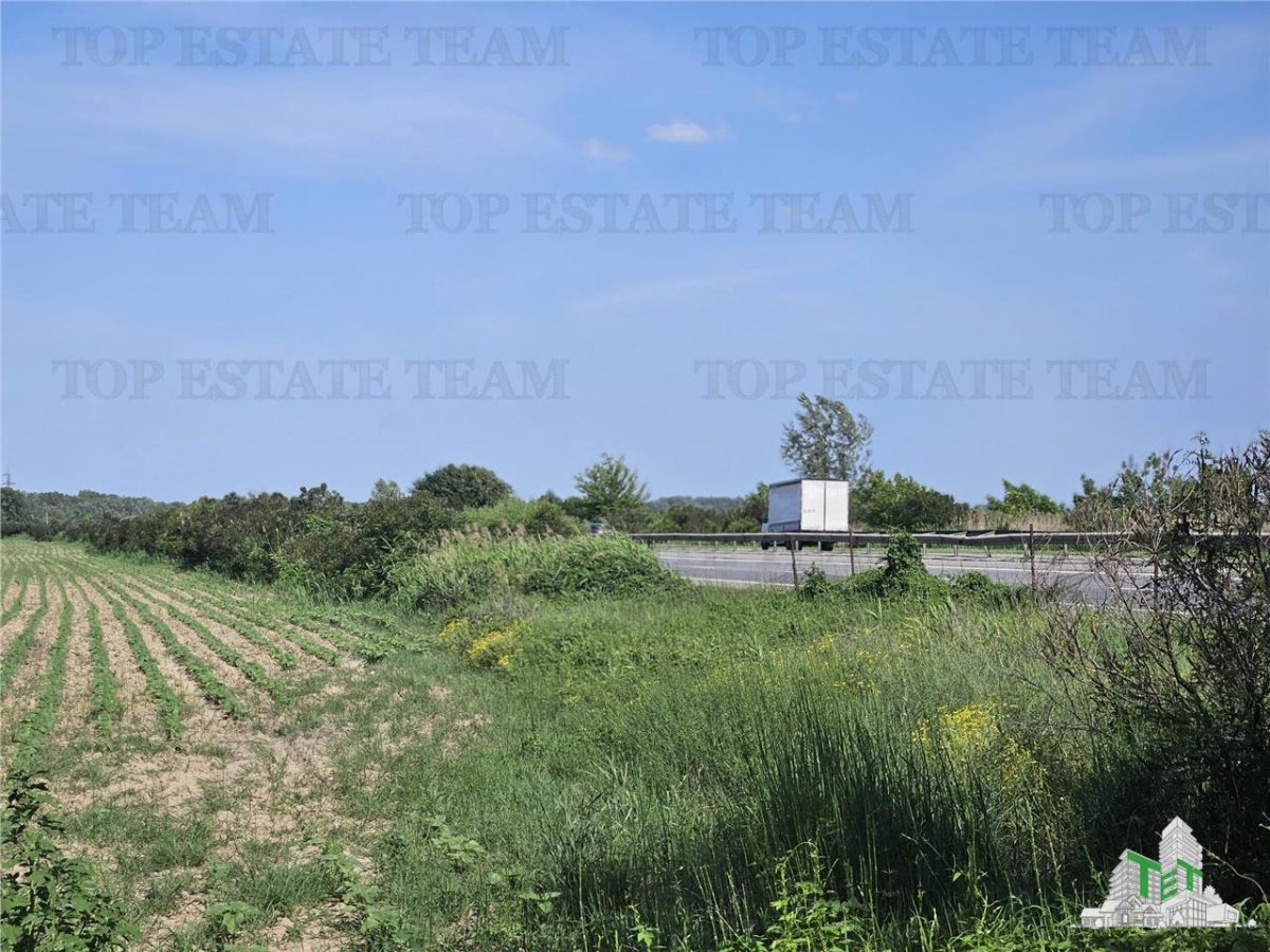Teren cu iesire dubla la A1, langa nod rutier A0, Stoenesti- Giurgiu, la 20 km de Bucuresti, ideal pentru Balastiera sau panouri fotovoltaice. - foto 7