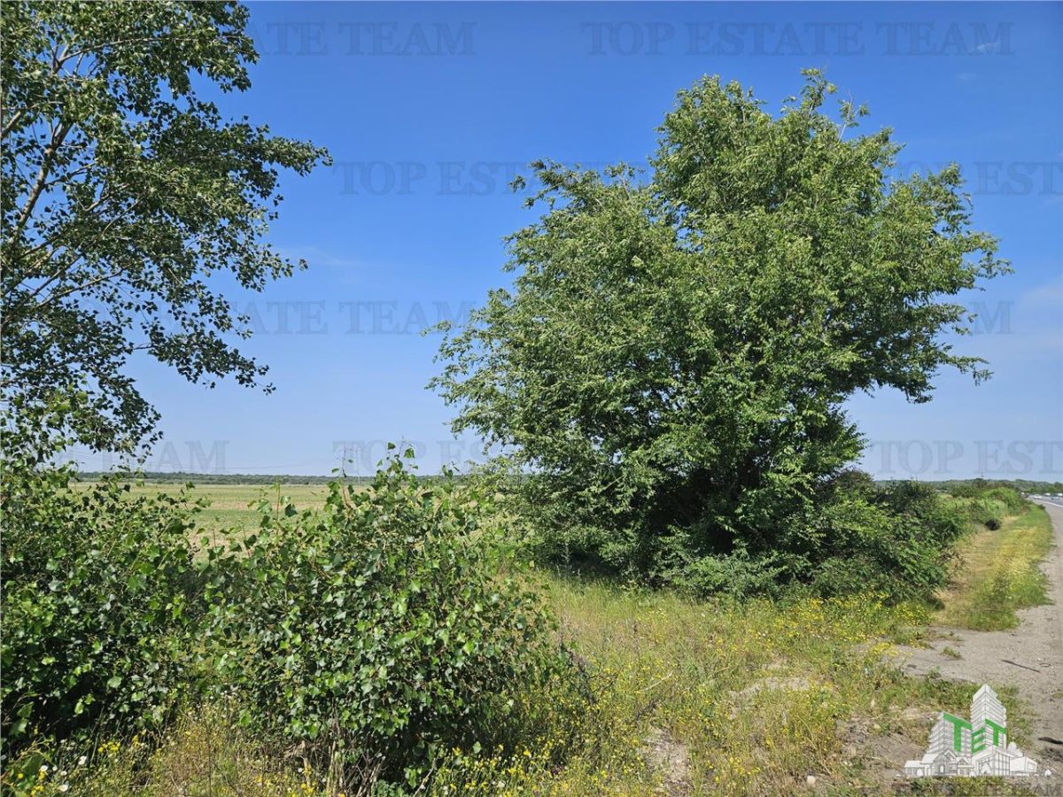 Teren cu iesire dubla la A1, langa nod rutier A0, Stoenesti- Giurgiu, la 20 km de Bucuresti, ideal pentru Balastiera sau panouri fotovoltaice. - foto 8