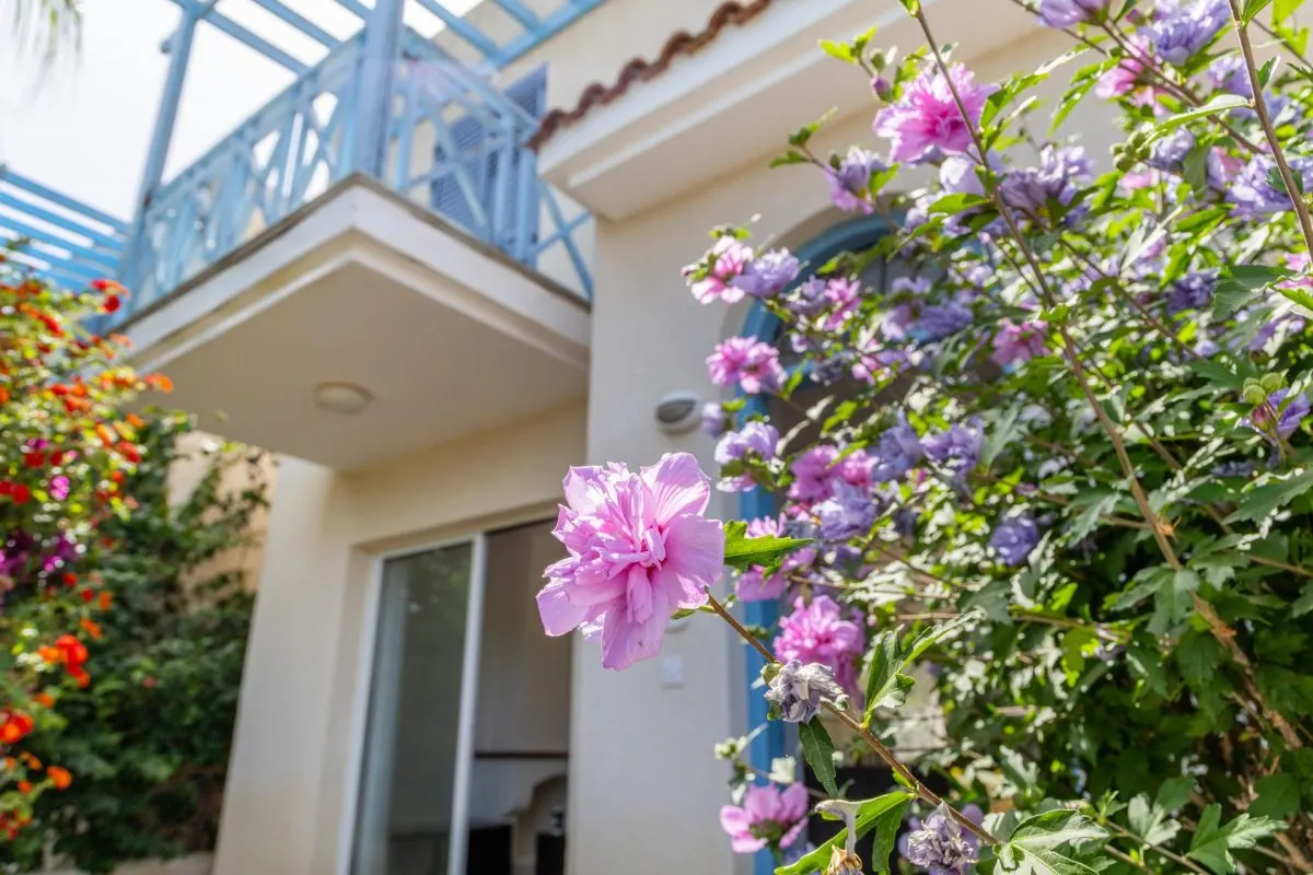 Casa de vanzare in Paphos, Cipru - foto 4