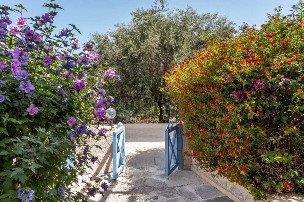 Casa de vanzare in Paphos, Cipru - foto 8