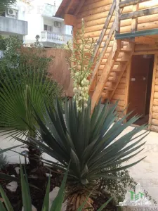 Hotel de vanzare in Budva Muntenegru - foto 9