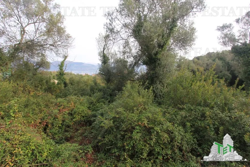 Teren de vanzare in Tivat Muntenegru - foto 2
