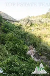 Teren de vanzare in Budva Muntenegru - foto 5