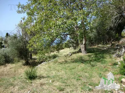 Teren de vanzare in Budva Muntenegru - foto 4