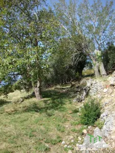 Teren de vanzare in Budva Muntenegru - foto 5