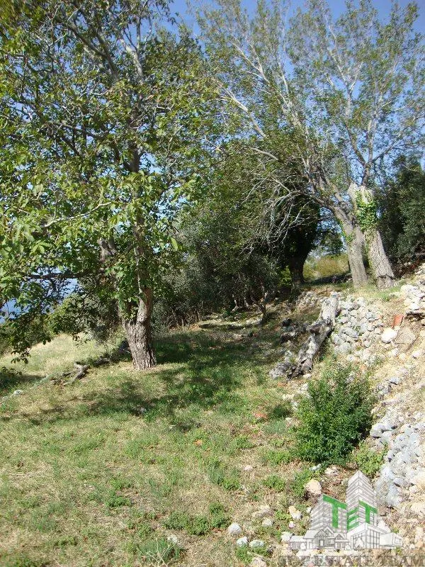 Teren de vanzare in Budva Muntenegru - foto 5