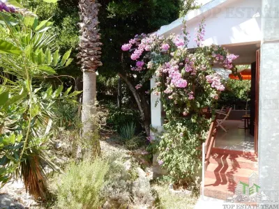 Casa de vanzare in Tivat Muntenegru - foto 12
