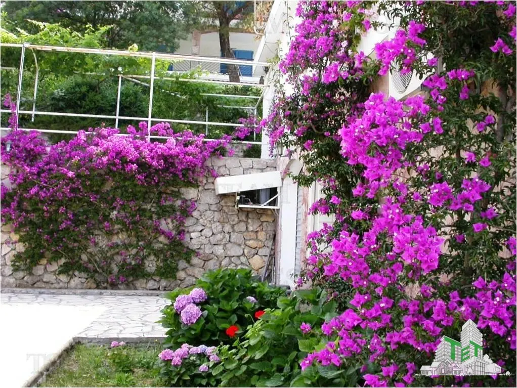 Casa de vanzare in Herceg-Novi Muntenegru - foto 8