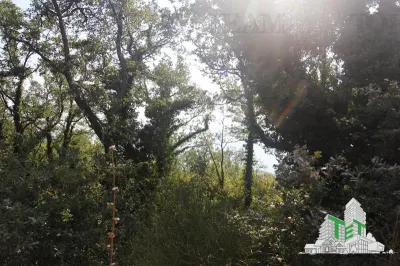 Teren de vanzare in Budva Muntenegru - foto 2