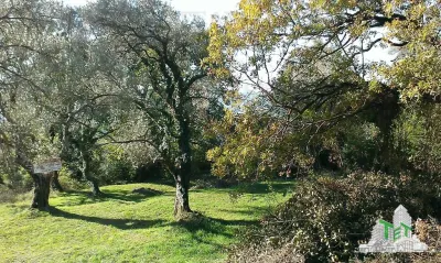 Teren de vanzare in Tivat Muntenegru - Tivat