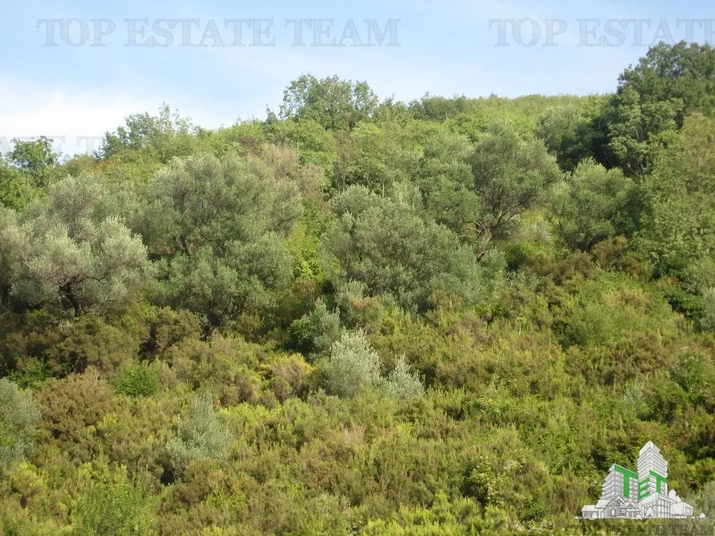 Building Plot for Sale in Herceg-Novi, Montenegro - foto 2
