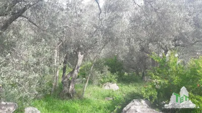 Building Plot for Sale in Budva, Montenegro - foto 3