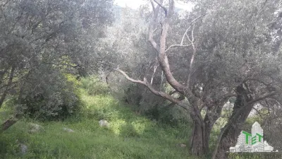 Building Plot for Sale in Budva, Montenegro - foto 7