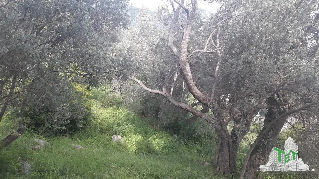 Building Plot for Sale in Budva, Montenegro - foto 7
