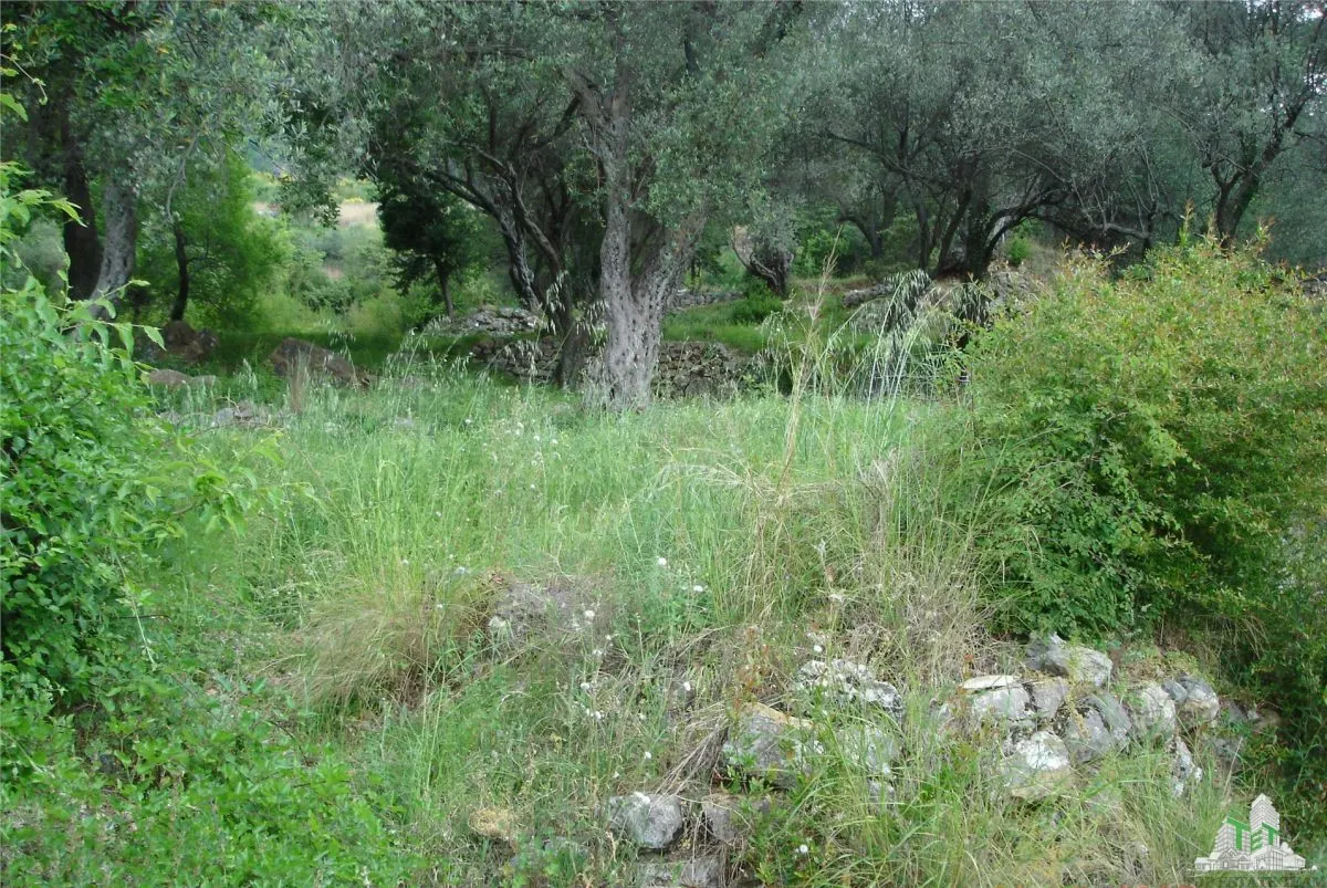 Teren de vanzare in Kotor Muntenegru - foto 4