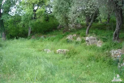 Teren de vanzare in Kotor Muntenegru - foto 5