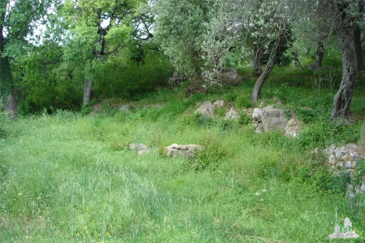 Teren de vanzare in Kotor Muntenegru - foto 5